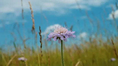 Tatry widziane z okolic Termy Gorce