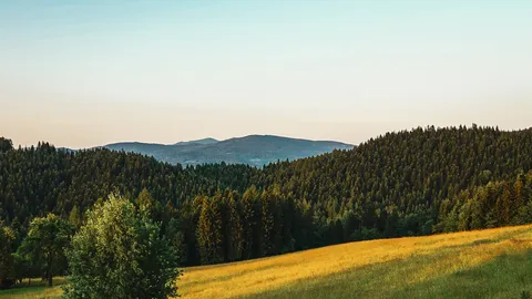 Widok na góry z Termy Gorce